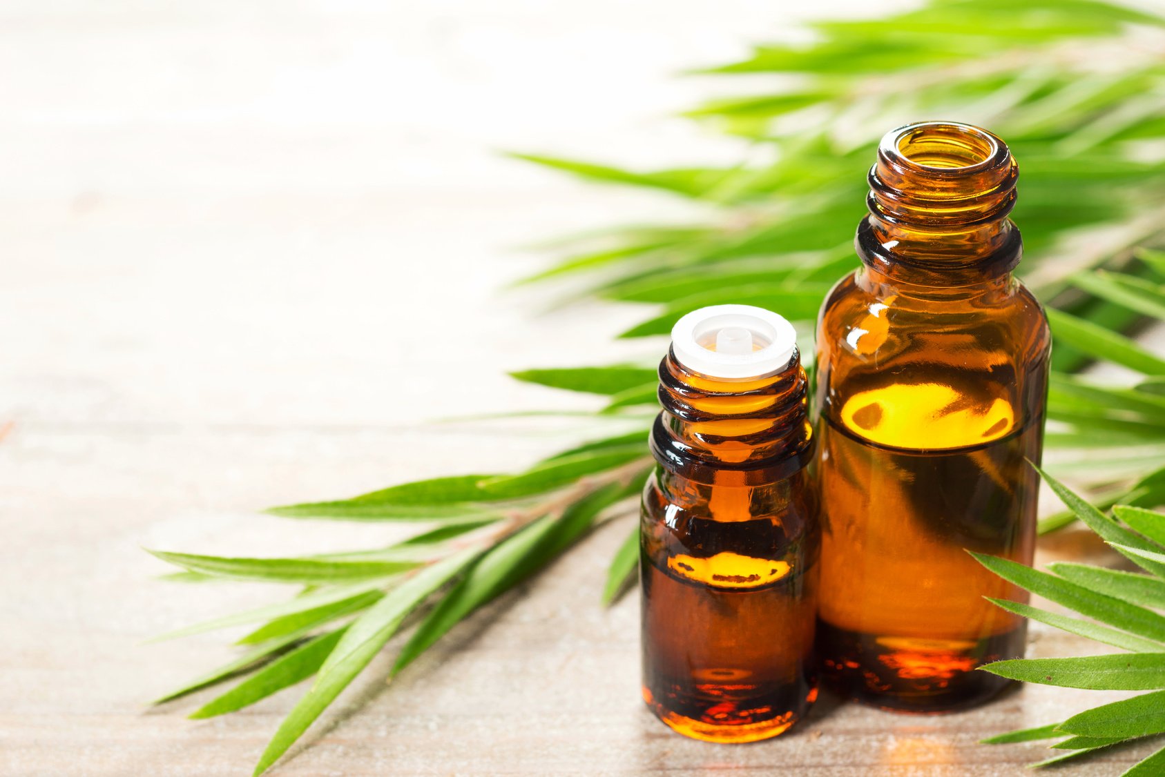 TEA TREE OIL