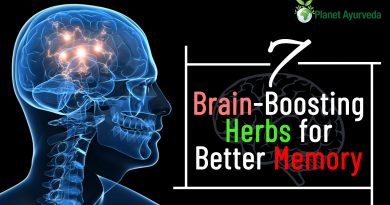 7 Brain-Boosting Herbs for Better Memory 7 Brain-Boosting Herbs for Better Memory