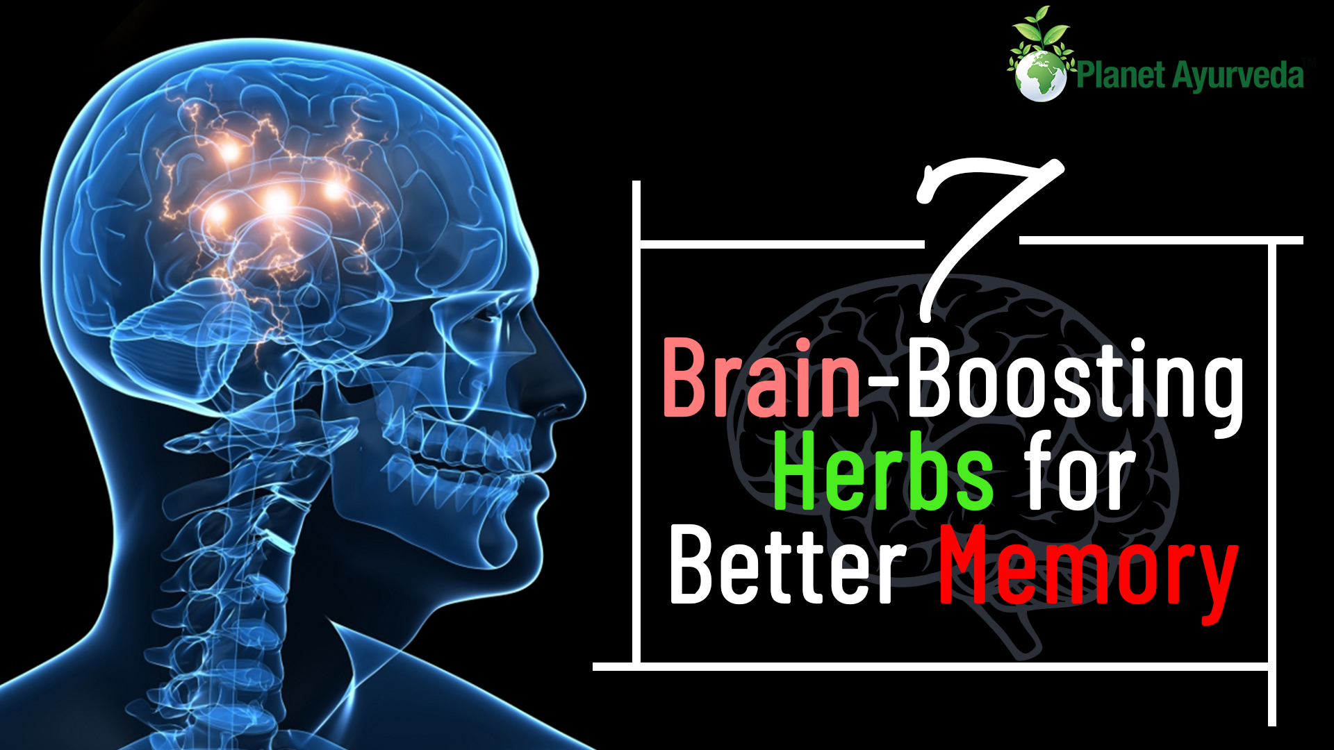 7 Brain-Boosting Herbs for Better Memory