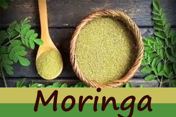 moringa
