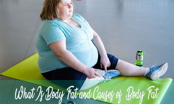 body fat