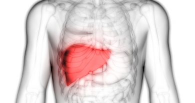 Liver