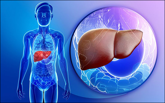 Liver Hemangioma