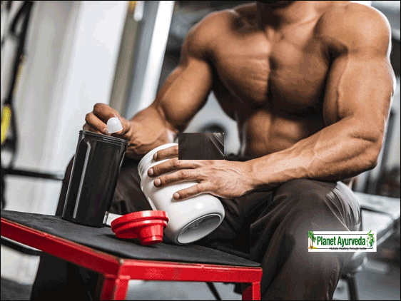 herbal protein supplement