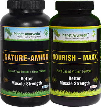 Natural Protein Supplement