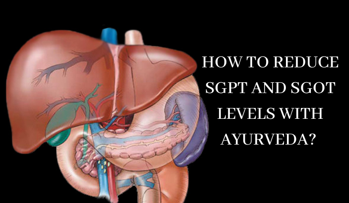 Reduce SGPT and SGOT