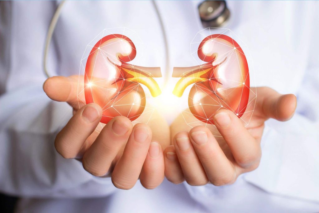 Kidney Diseases And Their Management