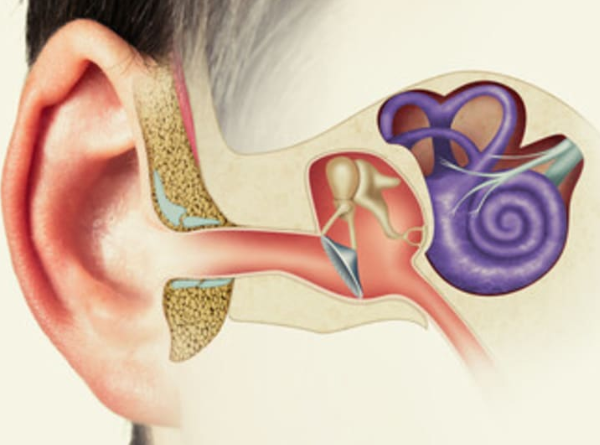 Vestibular Hypofunction