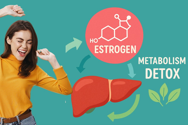Estrogen Estrogen