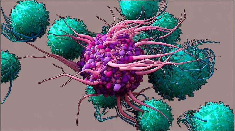 dendritic-cell