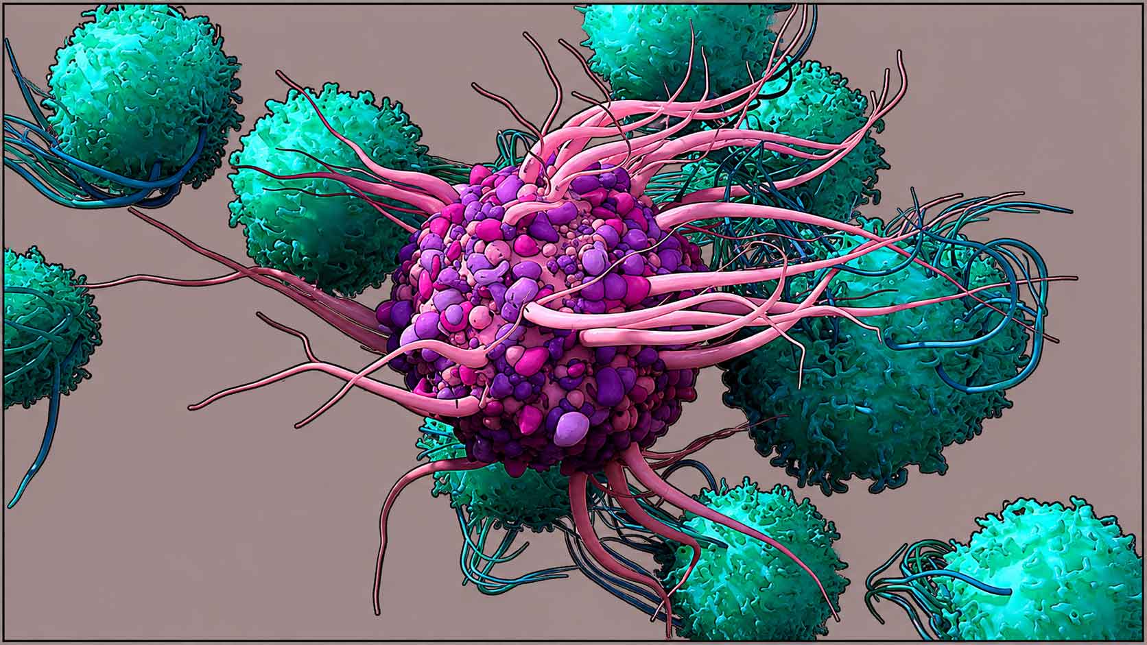 dendritic cell dendritic cell